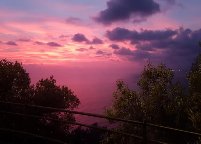 Il Cuore Di Santa E Tutto Blu *